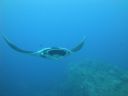 DSC00543.JPG