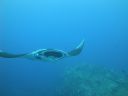 DSC00544.JPG