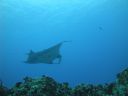 DSC00560.JPG