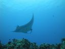 DSC00563.JPG