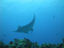 DSC00564.JPG