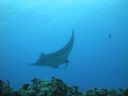 DSC00565.JPG