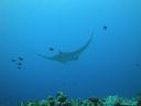 DSC00566.JPG