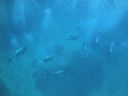 DSC00577.JPG