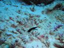 DSC00584.JPG