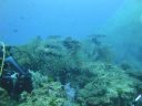 DSC00585.JPG
