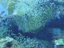 DSC00586.JPG