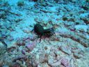 DSC00588.JPG
