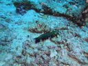 DSC00589.JPG
