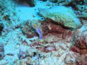 DSC00591.JPG