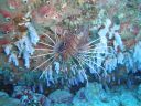 DSC00593.JPG