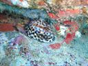 DSC00594.JPG