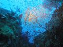 DSC00715.JPG