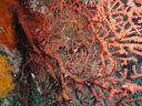 DSC00720.JPG