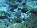 DSC00723.JPG