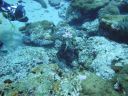 DSC00724.JPG
