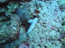 DSC00725.JPG
