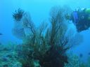 DSC00735.JPG