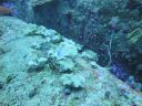 DSC00736.JPG