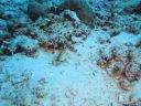 DSC00738.JPG