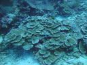 DSC00739.JPG