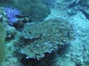 DSC00740.JPG