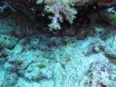 DSC00744.JPG