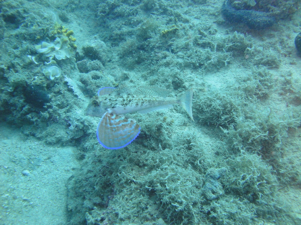 DSC00037.JPG