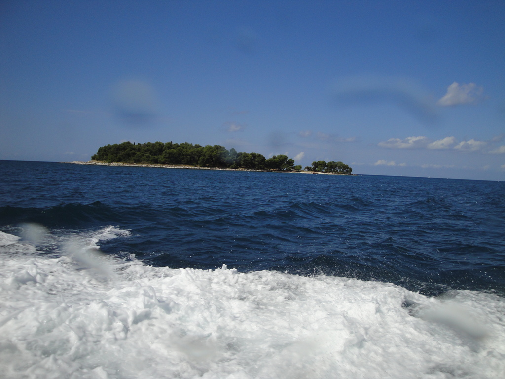 DSC00043.JPG