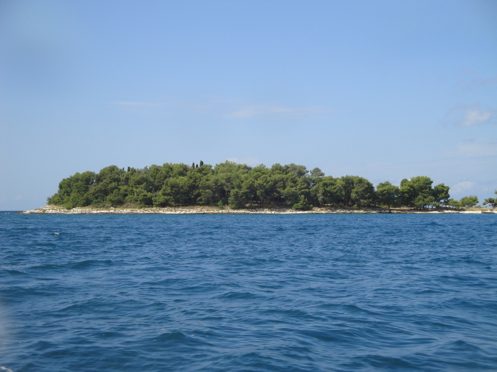 DSC00044.JPG