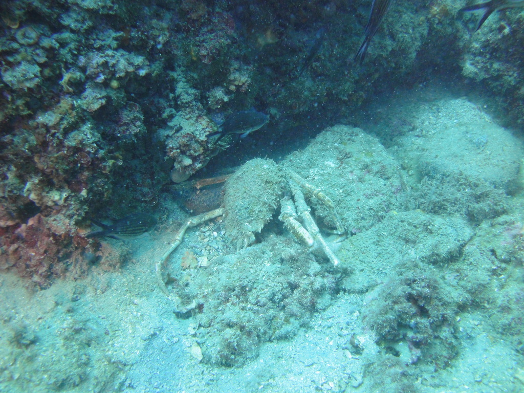 DSC00058.JPG