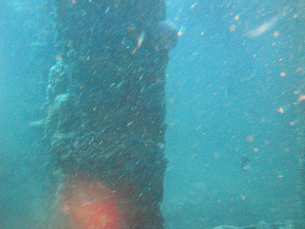 DSC00074.JPG