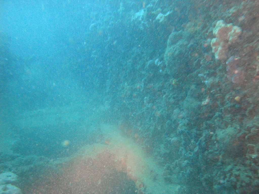 DSC00076.JPG