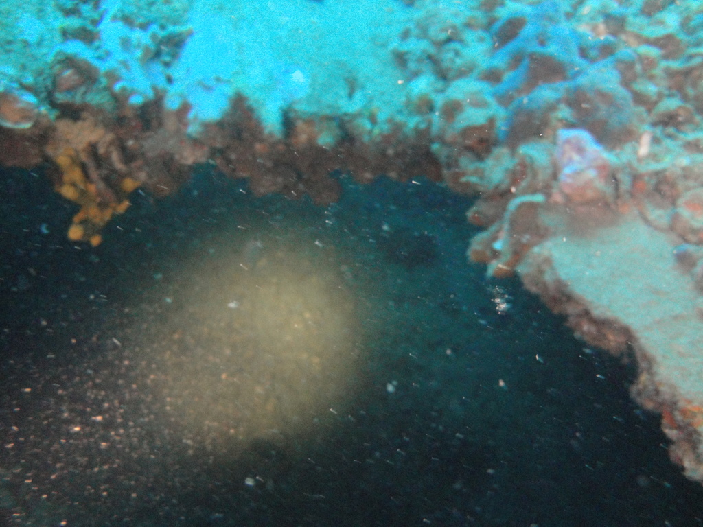 DSC00080.JPG