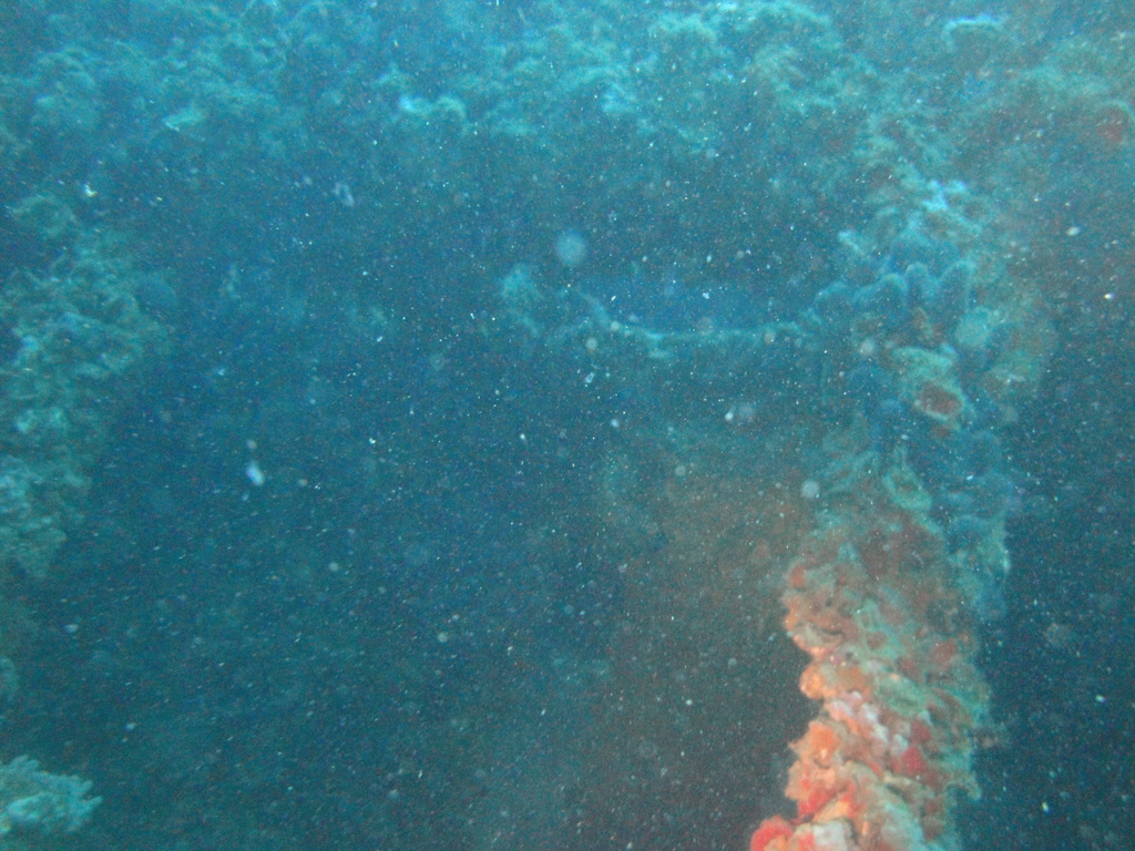 DSC00102.JPG