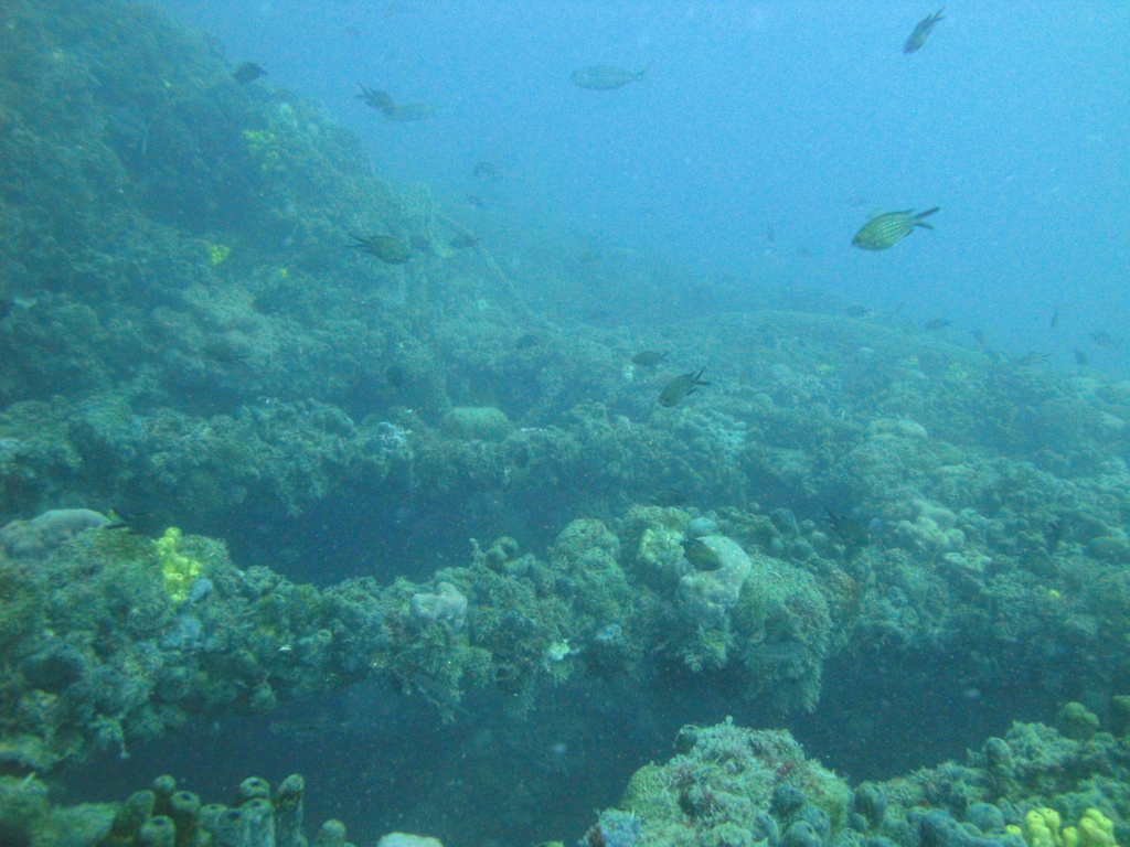 DSC00106.JPG
