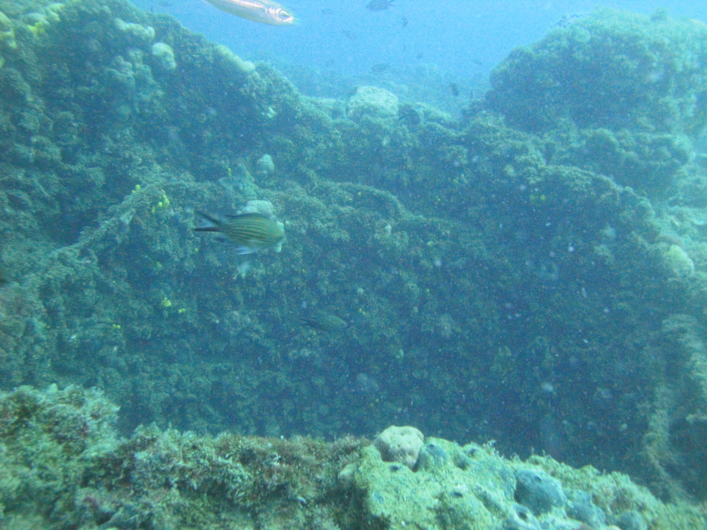 DSC00115.JPG