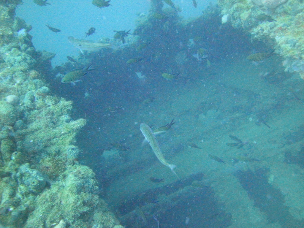 DSC00116.JPG