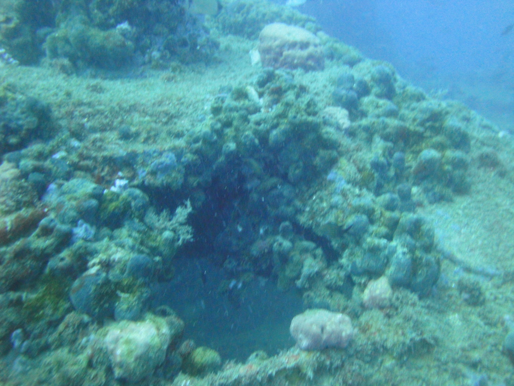 DSC00129.JPG