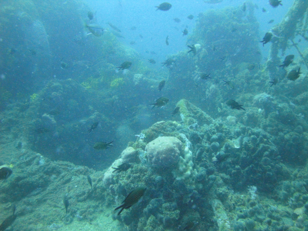 DSC00133.JPG