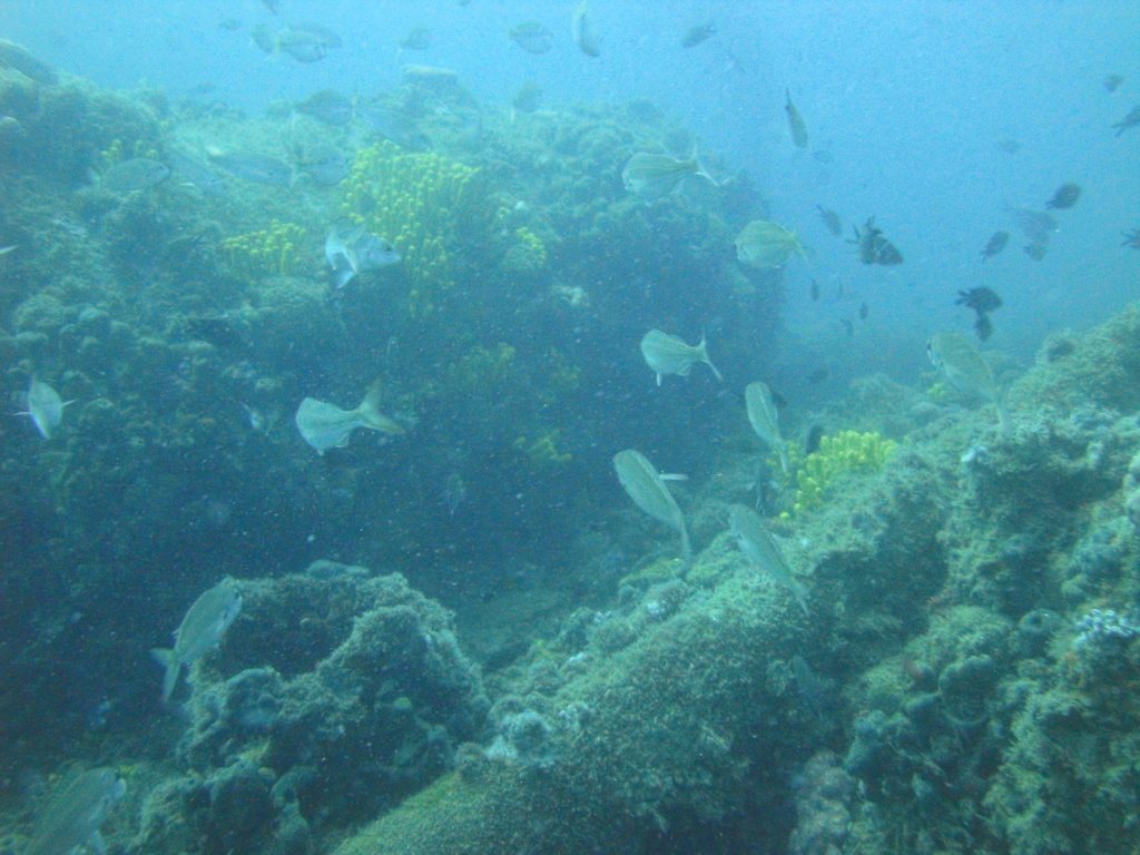 DSC00135.JPG