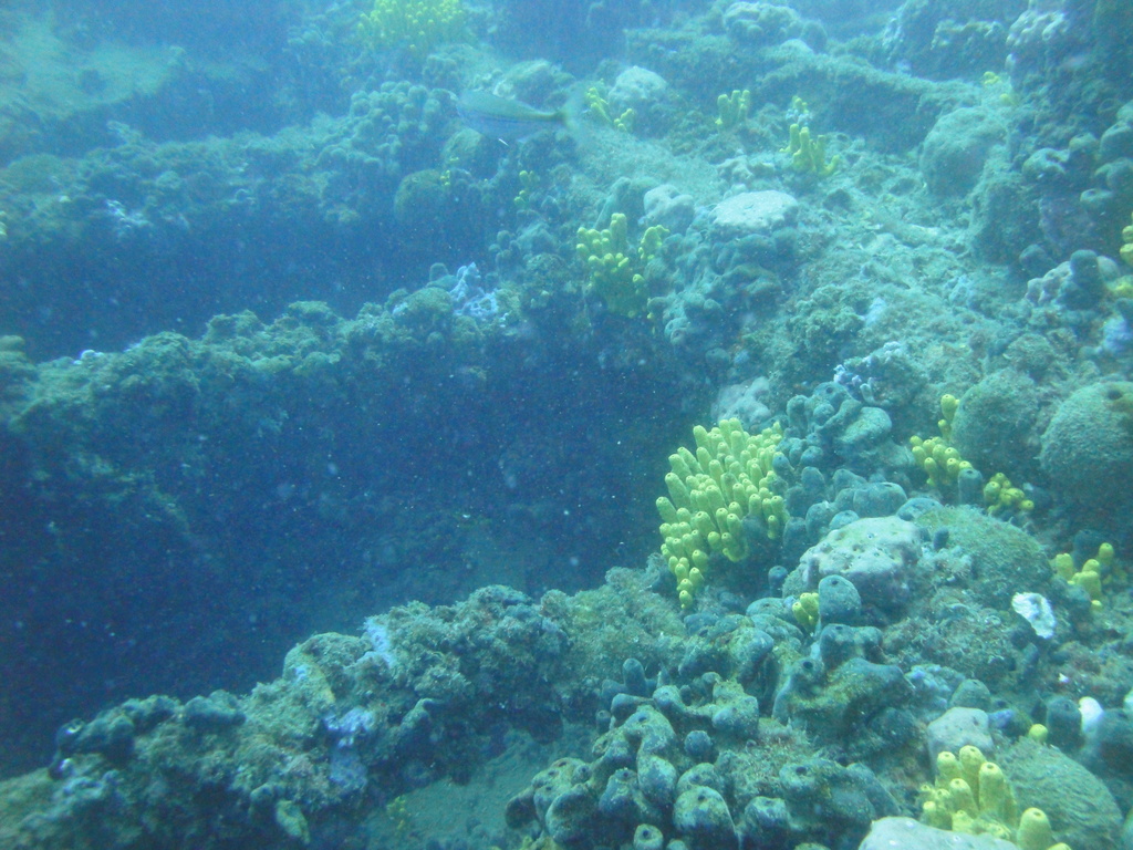DSC00136.JPG
