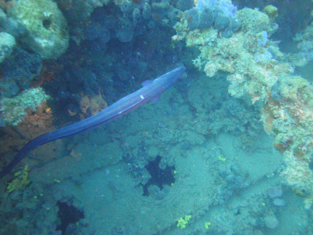DSC00138.JPG