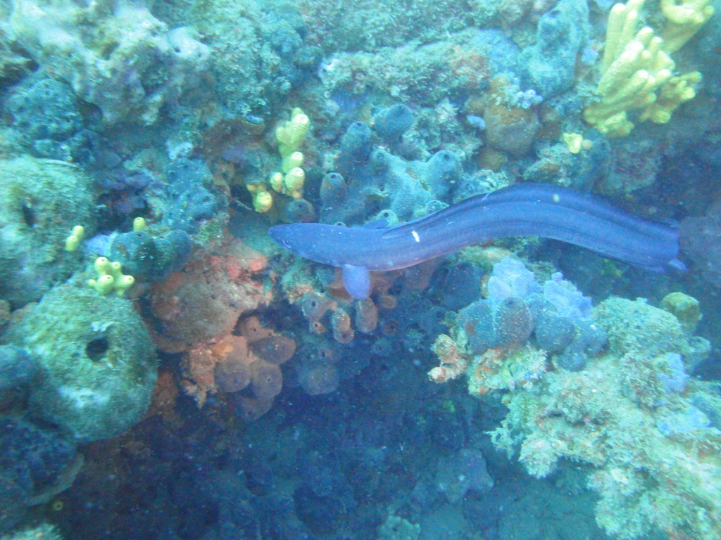 DSC00139.JPG
