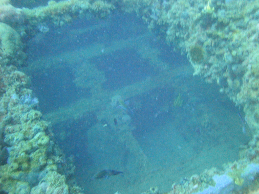 DSC00142.JPG