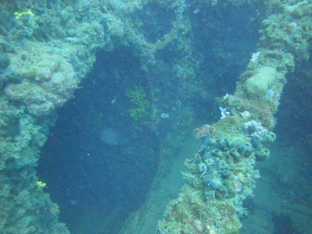 DSC00147.JPG