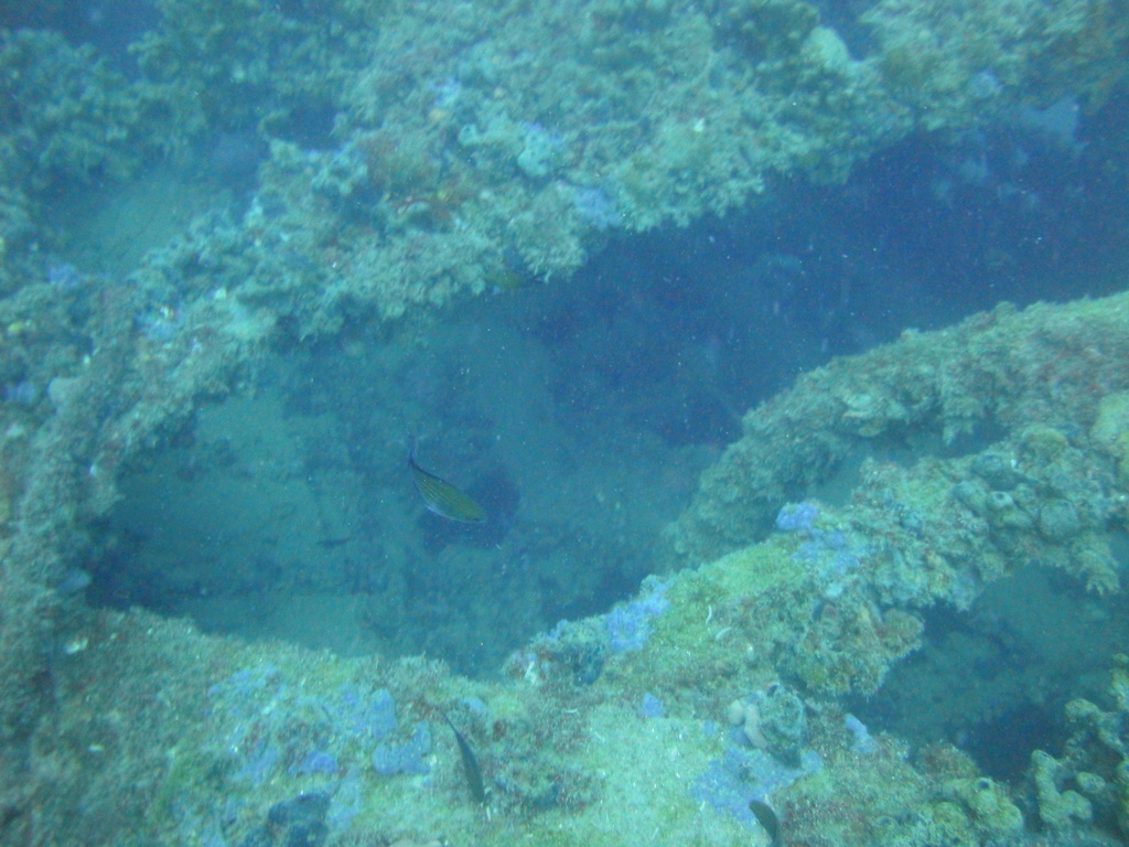 DSC00148.JPG