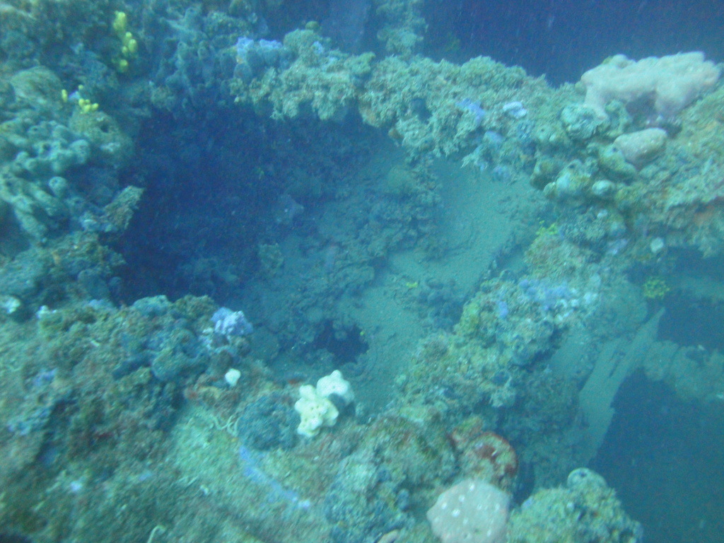 DSC00153.JPG