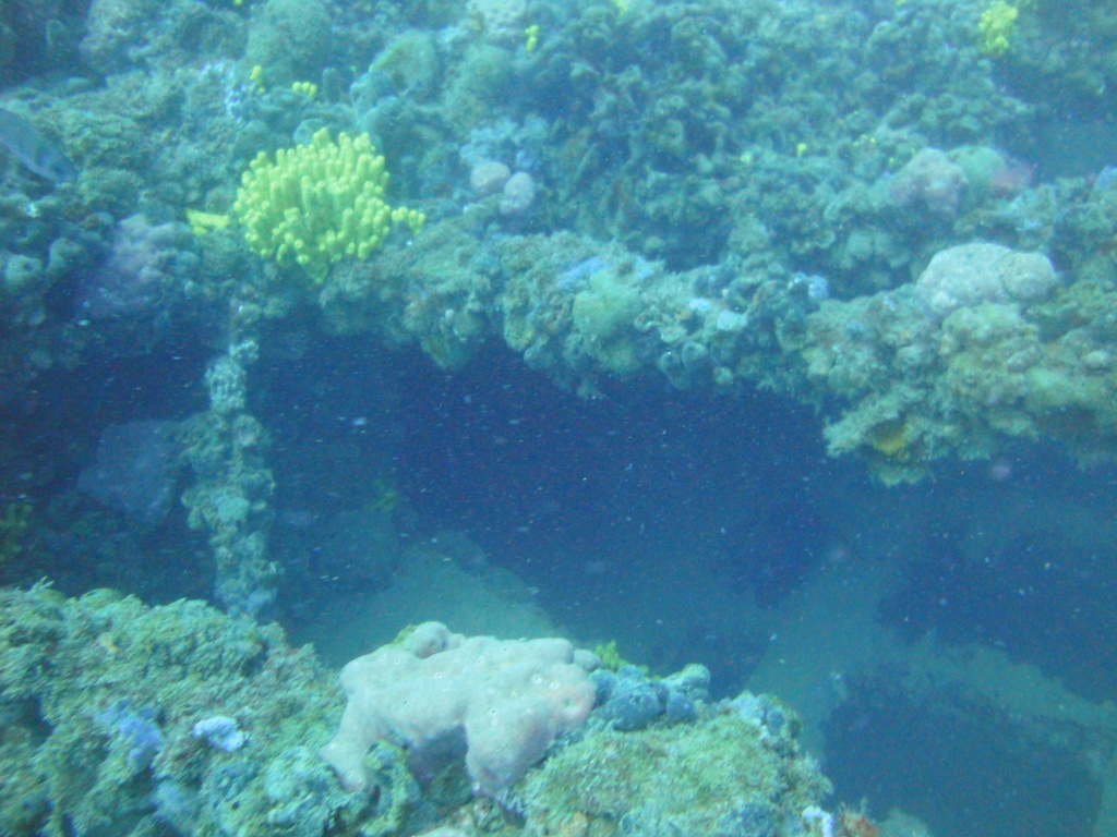 DSC00154.JPG