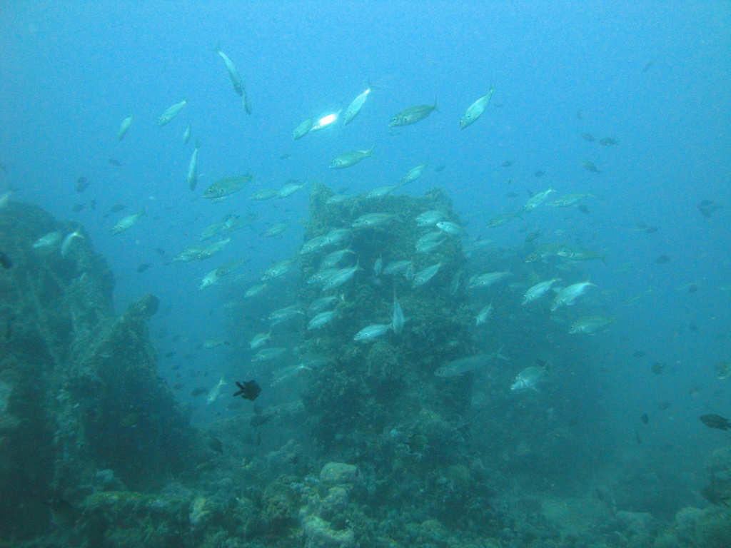 DSC00156.JPG